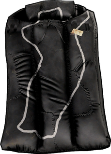 Forensic Sleeping Bag