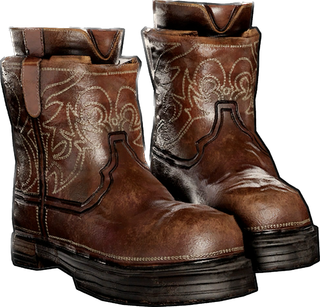 Cowboy Boots
