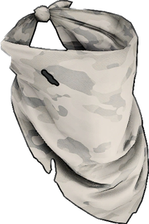 Winter Camo Bandana