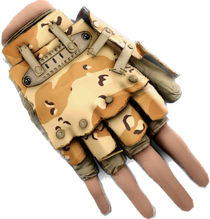 Desert Camo Roadsign Gloves