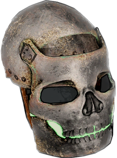 Pirate Metal Facemask