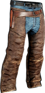 Cowboy Pants