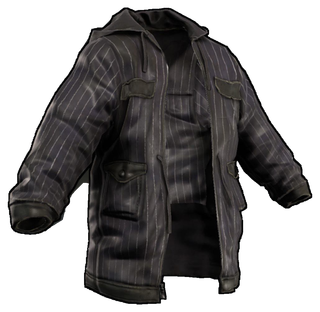 Pinstripe Jacket