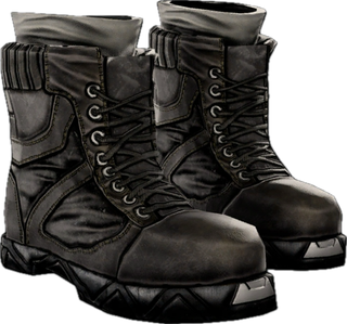 Democracy Boots