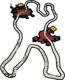 Forensic Rug