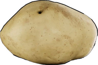 Potato Rock