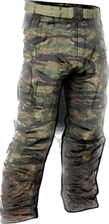 Tigerstripe Pants