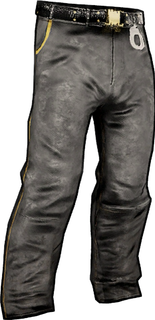 Security Pants