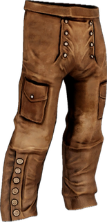 Steampunk Pants