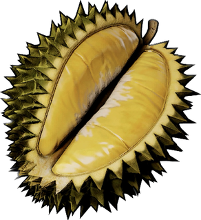 Durian Rock
