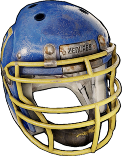 Touchdown Zenlabs Metal Facemask