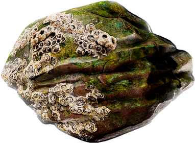 Nautical Rock