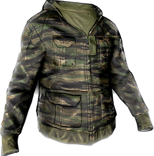 Tigerstripe Hoodie