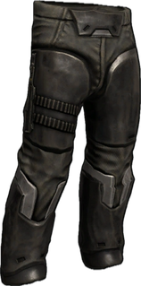 Democracy Pants