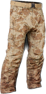 Desert Camo Pants