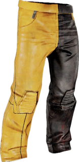 Dual Tone Pants