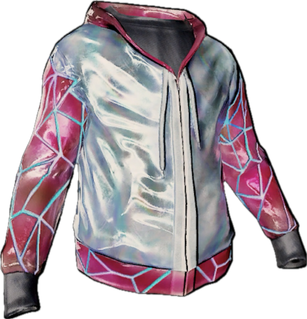 Reflector Hoodie